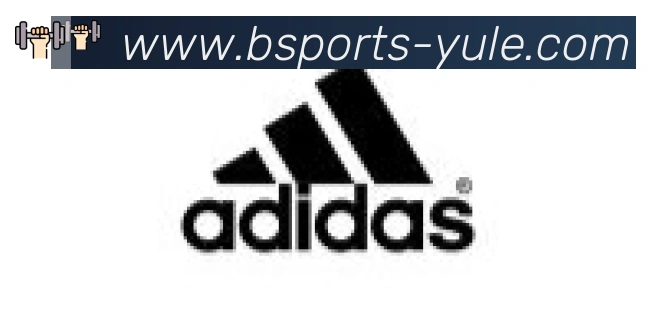 Bsports官网合作伙伴